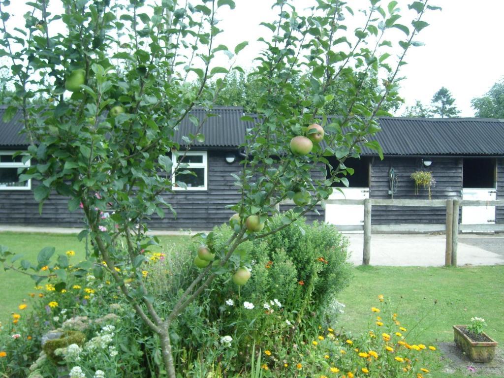 Heathwood Lodge Stelling Bagian luar foto